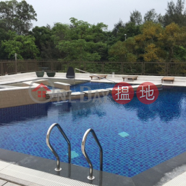 Large Detached Villa + Pool & Garage, 環翠居 1座 House 1 Forest Hill Villa | 西貢 (SK1206)_0