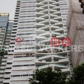Expat Family Flat for Sale in Mid Levels West | Seymour 懿峰 _0