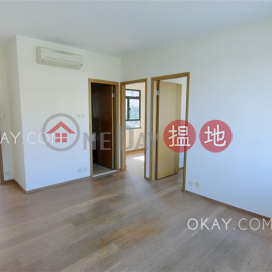 Popular 2 bedroom in Tai Hang | For Sale, Intelligent Court 海麗軒 | Wan Chai District (OKAY-S52397)_0