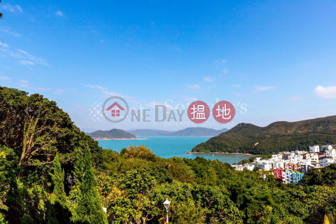 Property for Sale at Sheung Sze Wan Village with 2 Bedrooms | Sheung Sze Wan Village 相思灣村 _0