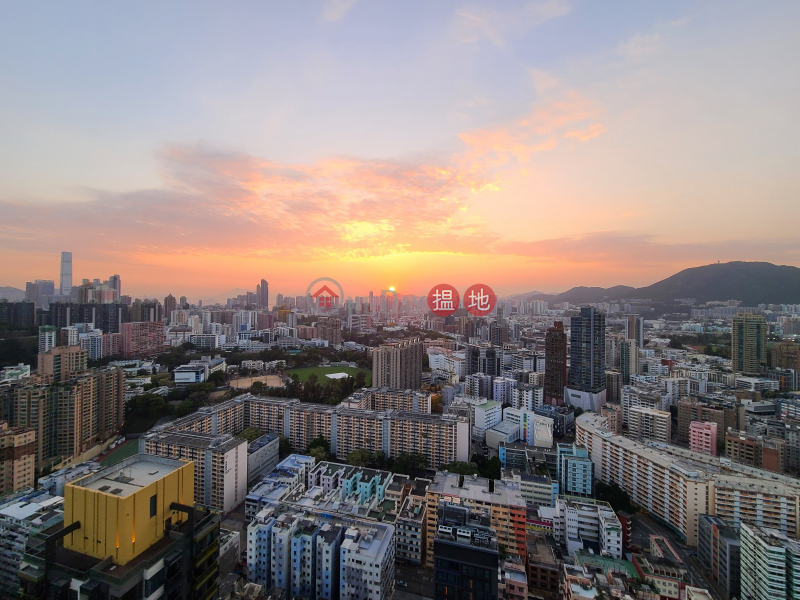傲雲峰高層一座A室 靚裝開揚煙花景 + 34校網|38宋皇臺道 | 九龍城-香港-出售HK$ 900萬