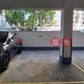 Treasure Garden parking space C86, Block B Treasure Garden 海寶花園 B座 | Tai Po District (SWPAH-2797534981)_0