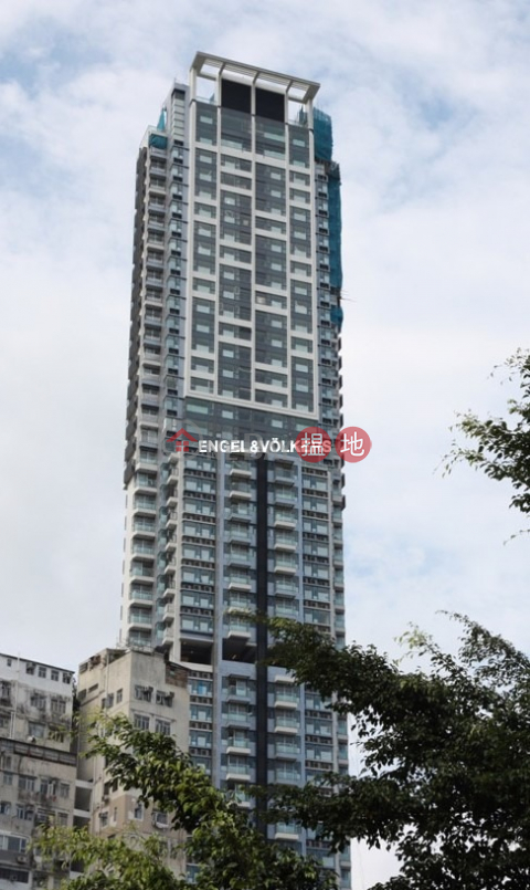 3 Bedroom Family Flat for Rent in Wan Chai|The Oakhill(The Oakhill)Rental Listings (EVHK60211)_0