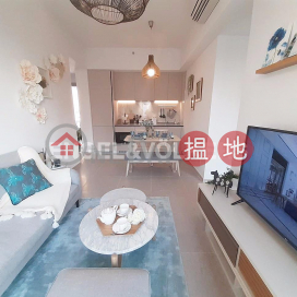 2 Bedroom Flat for Rent in Sai Ying Pun, Resiglow Pokfulam RESIGLOW薄扶林 | Western District (EVHK99517)_0