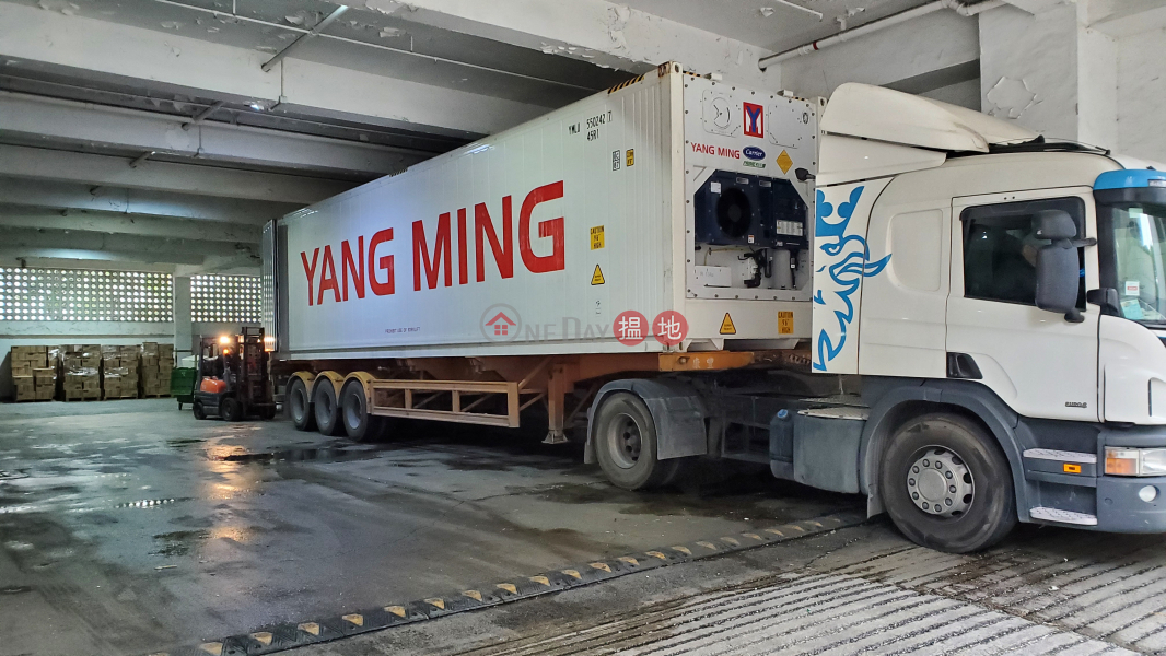 純貨倉裝修,樓底高度11呎-18天后路 | 屯門-香港-出租|HK$ 11,500/ 月