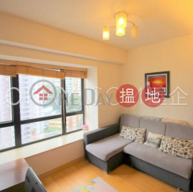 1房1廁豪景臺出售單位, 豪景臺 Rich View Terrace | 中區 (OKAY-S73383)_0