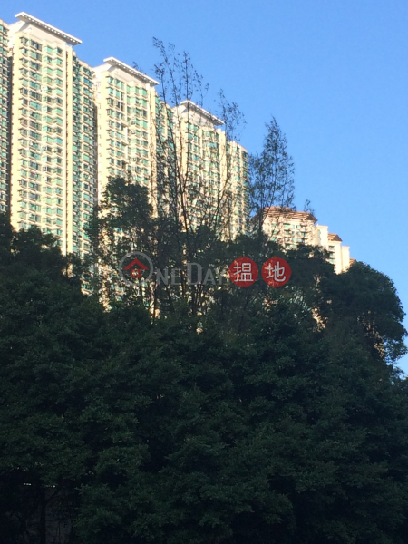 Coastal Skyline, Phase 1, Block 1 (藍天海岸1期1座),Tung Chung | ()(1)