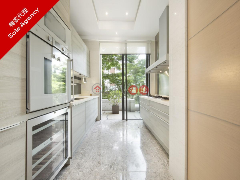 天巒-請選擇住宅-出售樓盤HK$ 4,200萬