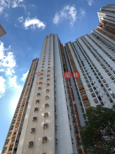 Hang Tsui Court Tsui Ying House (Hang Tsui Court Tsui Ying House) Chai Wan|搵地(OneDay)(1)