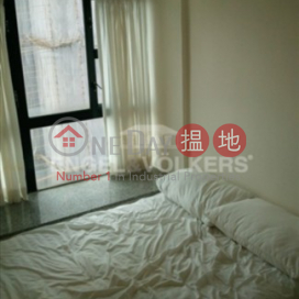 Beautiful 2 Bedroom in Caine Tower, Corona Tower 嘉景臺 | Central District (MIDLE-EVHK39130)_0