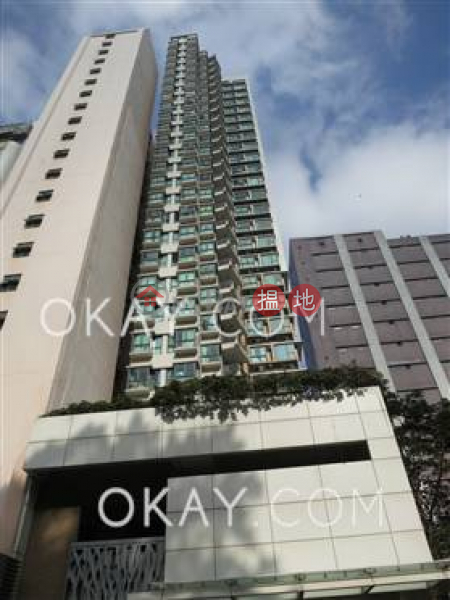 域多利道60號|高層住宅-出租樓盤HK$ 25,000/ 月