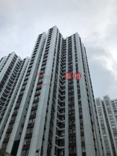 銀星閣 (53座) ((T-53) Ngan sign Mansion On Sing Fai Terrace Taikoo Shing) 太古| ()(1)