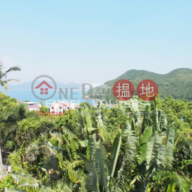 4 Bedroom Luxury Flat for Sale in Clear Water Bay | 48 Sheung Sze Wan Village 相思灣村48號 _0