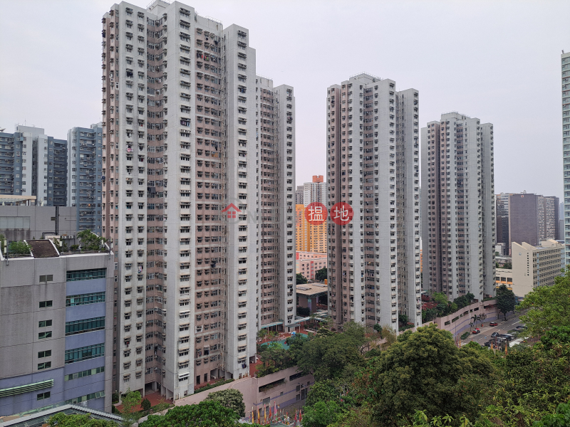Block 1 Lok Hin Terrace (樂軒臺 1座),Chai Wan | ()(3)