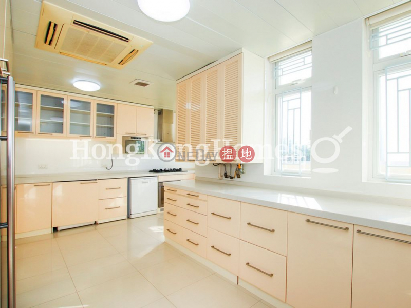 4 Bedroom Luxury Unit for Rent at 29-31 Bisney Road | 29-31 Bisney Road 碧荔道29-31號 Rental Listings