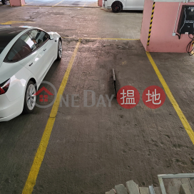 Covered truck space parking, Deyla Industrial Centre 德雅工業中心 | Tuen Mun (JOHNN-1410158139)_0
