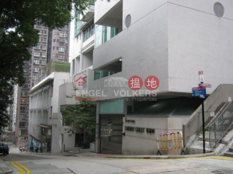 3 Bedroom Family Flat for Sale in Soho, Cherry Crest 翠麗軒 | Central District (EVHK39442)_0