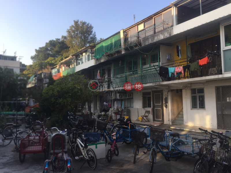 Village House in Nam Wan San Tsuen (Village House in Nam Wan San Tsuen) Peng Chau|搵地(OneDay)(5)