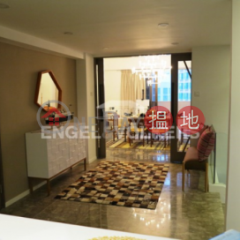 3 Bedroom Family Flat for Sale in Central Mid Levels | 1a Robinson Road 羅便臣道1A號 _0