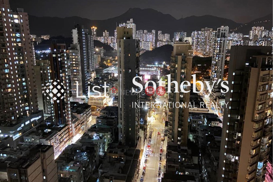 柏德豪廷兩房一廳單位出租377太子道西 | 九龍城|香港-出租|HK$ 85,000/ 月