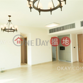 Unique 4 bedroom on high floor with balcony | Rental | Larvotto 南灣 _0
