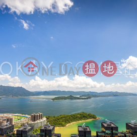Exquisite 4 bed on high floor with sea views & rooftop | For Sale | Lake Silver Block 5 銀湖‧天峰5座 _0