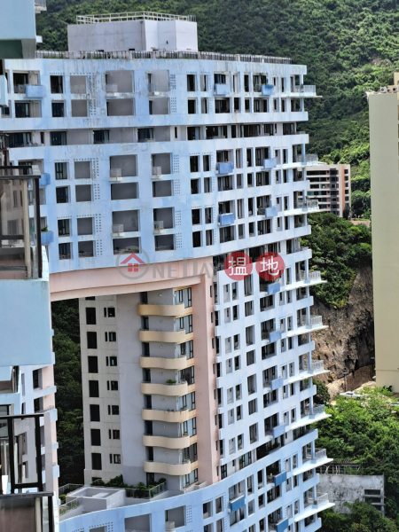 Block 4 (Nicholson) The Repulse Bay (影灣園4座),Repulse Bay | ()(3)