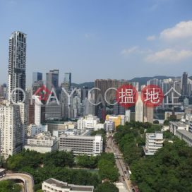 3房2廁,極高層,露台壹環出售單位