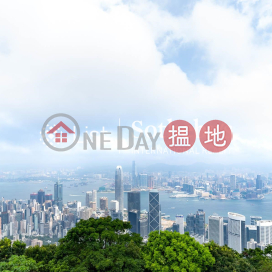 出售普樂道 11 號4房豪宅單位