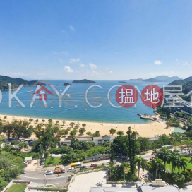 2房2廁,海景,星級會所,連車位《影灣園4座出租單位》 | 影灣園4座 Block 4 (Nicholson) The Repulse Bay _0