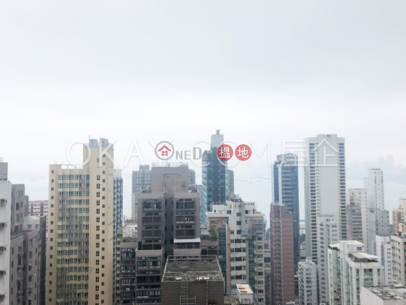 星鑽-高層住宅|出租樓盤|HK$ 38,000/ 月