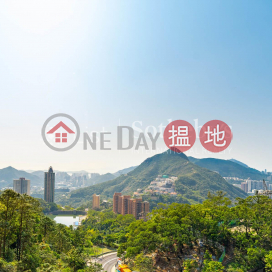 Property for Rent at Parkview Terrace Hong Kong Parkview with 4 Bedrooms | Parkview Terrace Hong Kong Parkview 陽明山莊 涵碧苑 _0