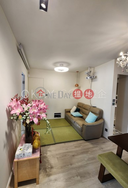 Popular penthouse with rooftop | For Sale | CNT Bisney 美琳園 Sales Listings