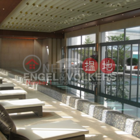 1 Bed Flat for Sale in Ap Lei Chau, Larvotto 南灣 | Southern District (EVHK11505)_0