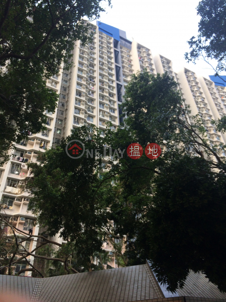 Lei Muk Shue Estate Kwai Shue House (梨木樹邨 葵樹樓),Tai Wo Hau | ()(4)