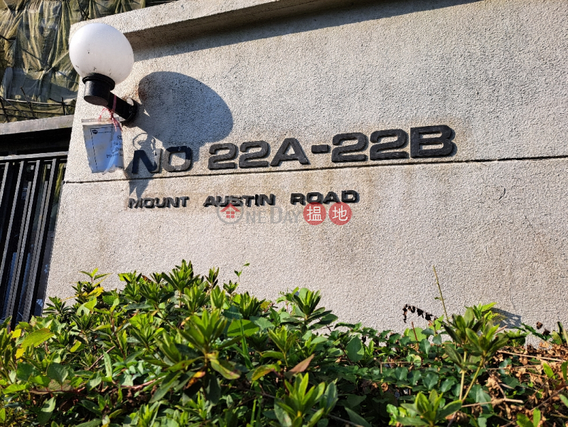 22A-22B Mount Austin Road (柯士甸山道22A-22B號),Peak | ()(3)