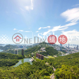 Property for Rent at Parkview Terrace Hong Kong Parkview with 4 Bedrooms
