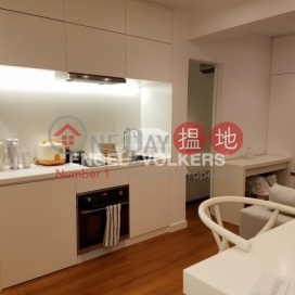 Fully Furnished 1 Bedroom in Caine Tower, Caine Tower 景怡居 | Central District (MIDLE-EVHK39139)_0