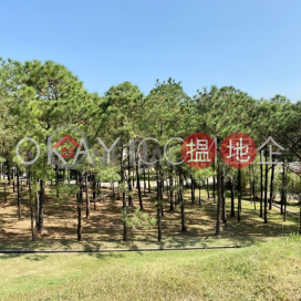 Efficient 3 bedroom in Discovery Bay | For Sale | Phase 1 Beach Village, 37 Seabird Lane 碧濤1期海燕徑37號 _0