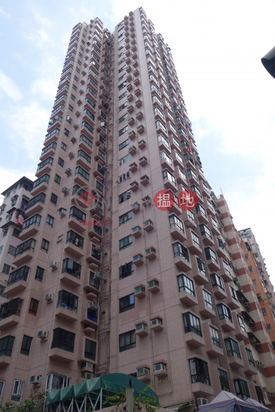 鴻恩大廈 (Hung Yan Building) 西灣河| ()(5)