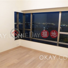 Lovely 4 bedroom in Kowloon Station | For Sale | Sorrento Phase 2 Block 1 擎天半島2期1座 _0