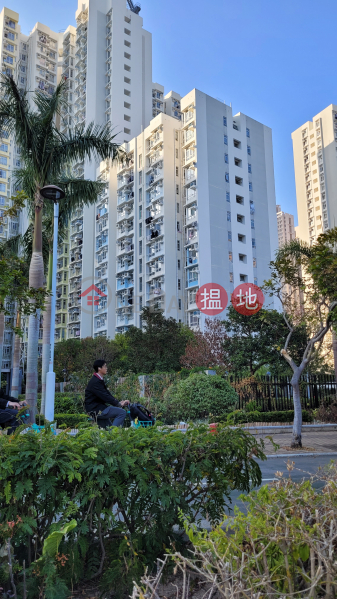 Yung Ming Court Block A (Yun Ming House) (雍明苑A座 (潤明閣)),Tseung Kwan O | ()(5)
