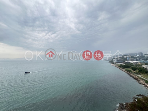 3房2廁,海景,星級會所,連車位貝沙灣4期出售單位 | 貝沙灣4期 Phase 4 Bel-Air On The Peak Residence Bel-Air _0