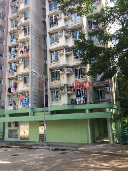 Lung Tak Court Block C Chi Tak House (龍德苑 C座 至德閣),Chung Hom Kok | ()(3)