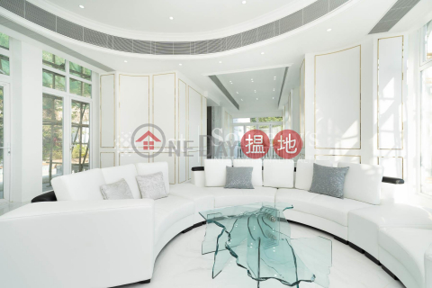 Property for Sale at Cheuk Nang Lookout with more than 4 Bedrooms | Cheuk Nang Lookout 卓能山莊 _0