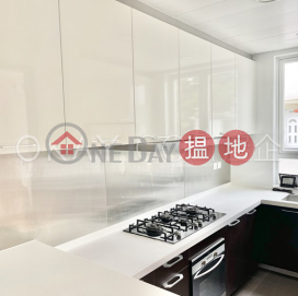 Luxurious house with rooftop, balcony | For Sale | Ho Chung New Village 蠔涌新村 _0
